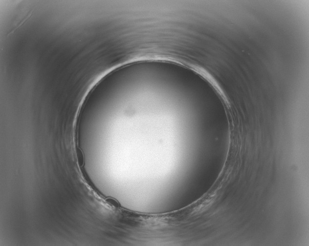 X0000060581004200511171652