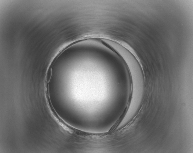 X0000060581005200511171652