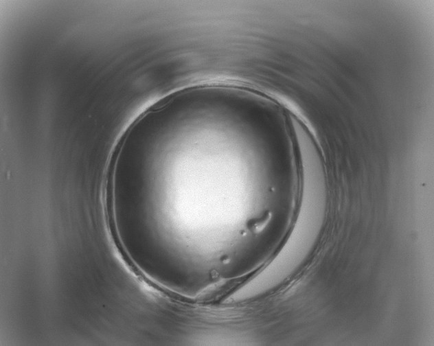 X0000060581007200511171652