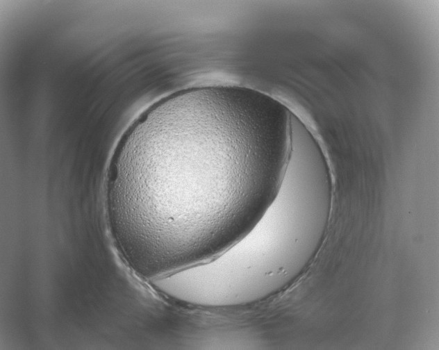 X0000060581008200511171652