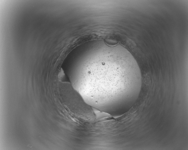 X0000060581009200511171652