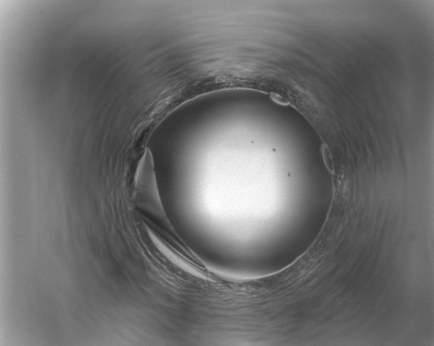 X0000060581012200511171652