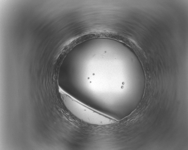 X0000060581016200511171652