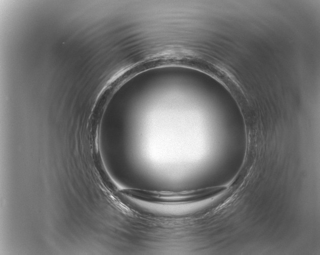 X0000060581018200511171652