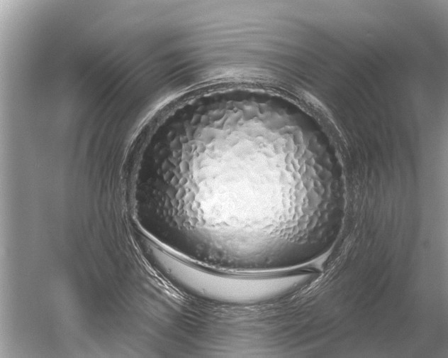 X0000060581019200511171652