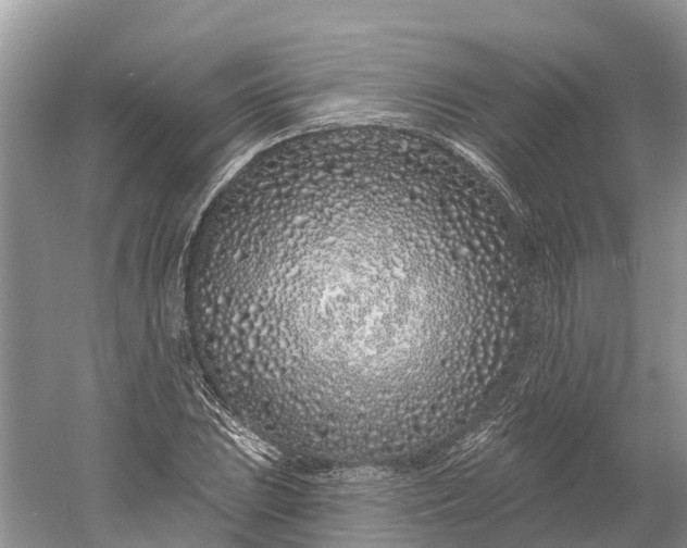 X0000060581023200511171652