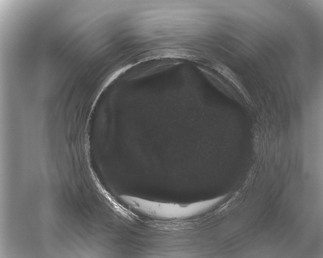 X0000060581024200511171652