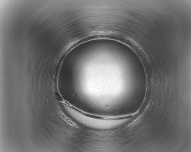 X0000060581025200511171652