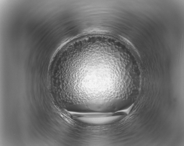 X0000060581027200511171652