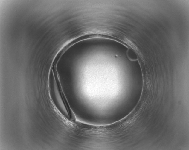 X0000060581028200511171652