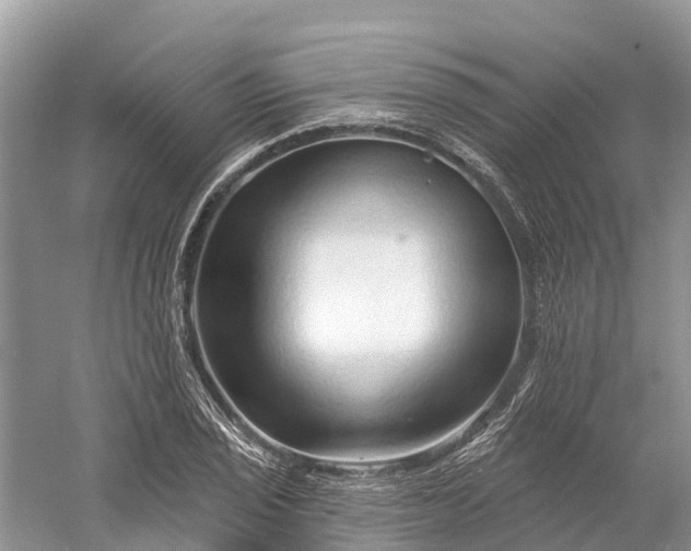 X0000060581029200511171652