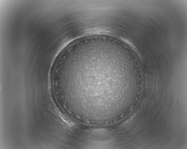 X0000060581031200511171652