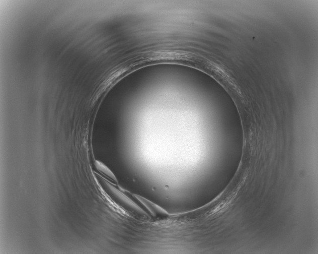 X0000060581033200511171652