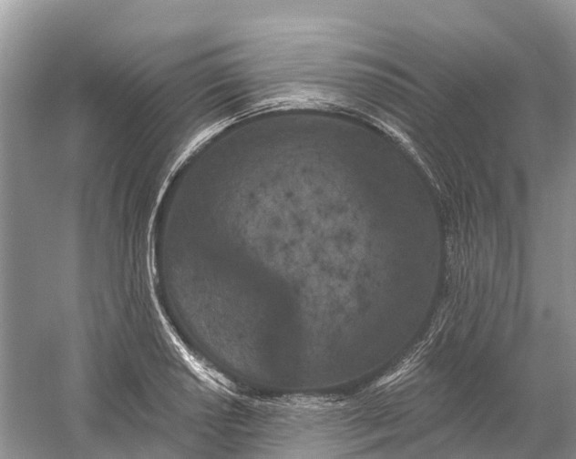 X0000060581034200511171652