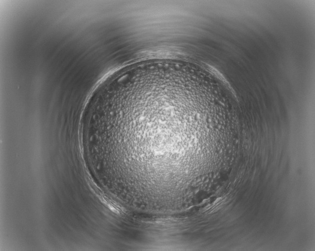 X0000060581035200511171652