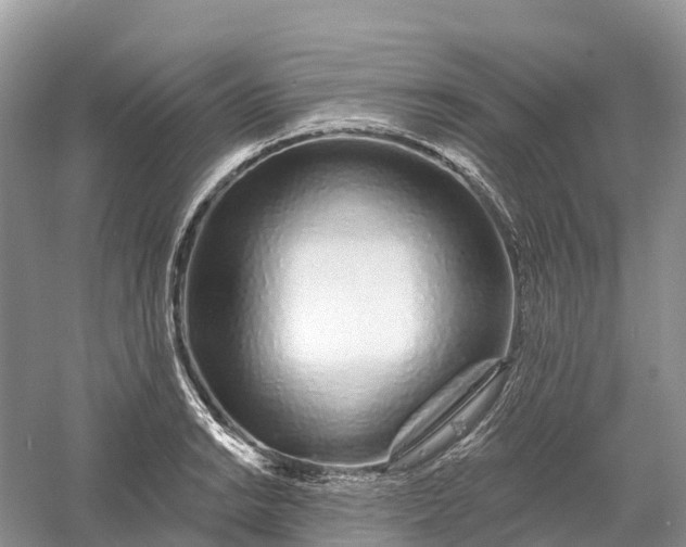 X0000060581038200511171652