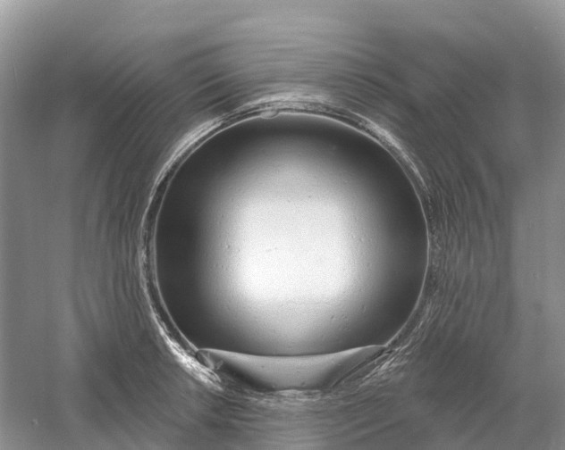 X0000060581042200511171652