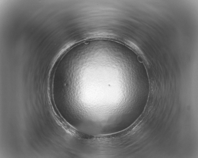 X0000060581043200511171652