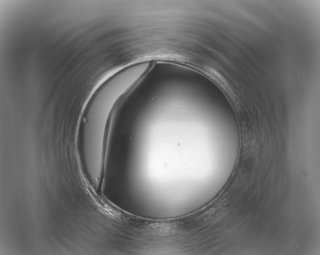 X0000060581044200511171652