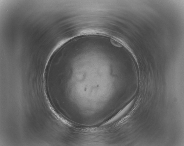 X0000060581045200511171652