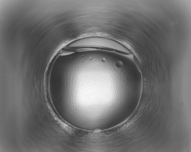 X0000060581046200511171652