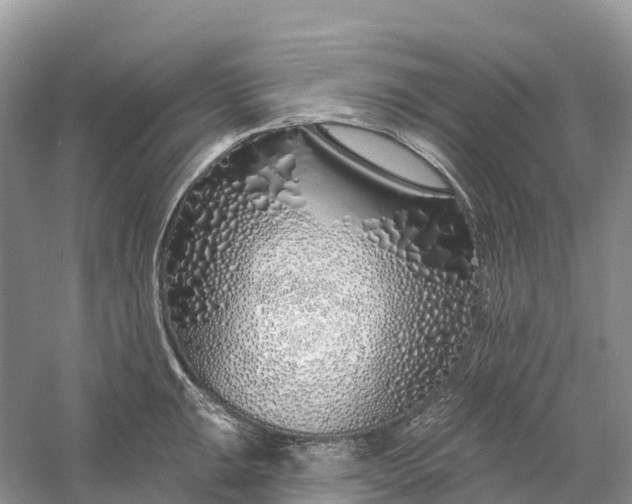 X0000060581047200511171652