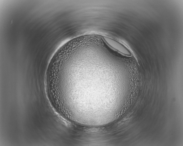 X0000060581048200511171652