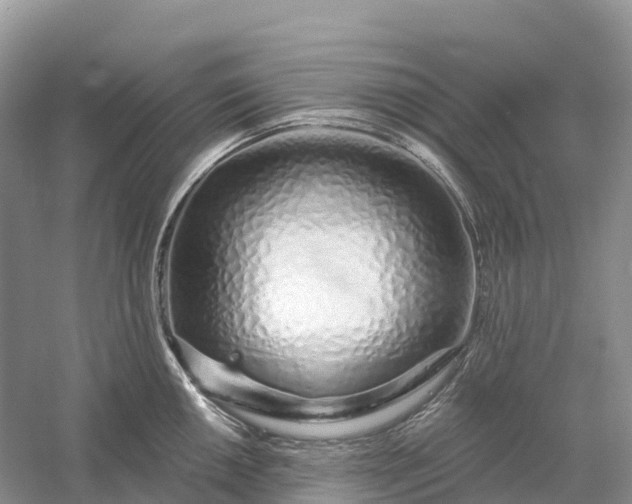 X0000060581050200511171652