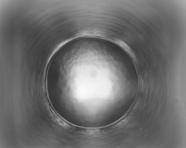 X0000060581052200511171652