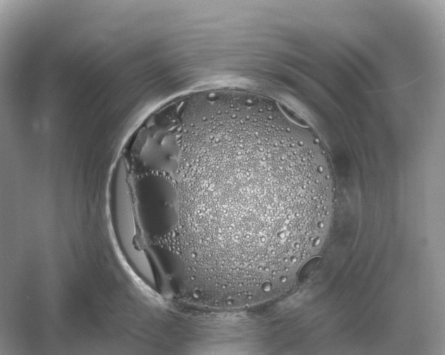 X0000060581055200511171652