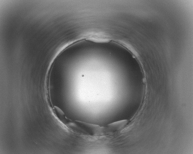 X0000060581056200511171652