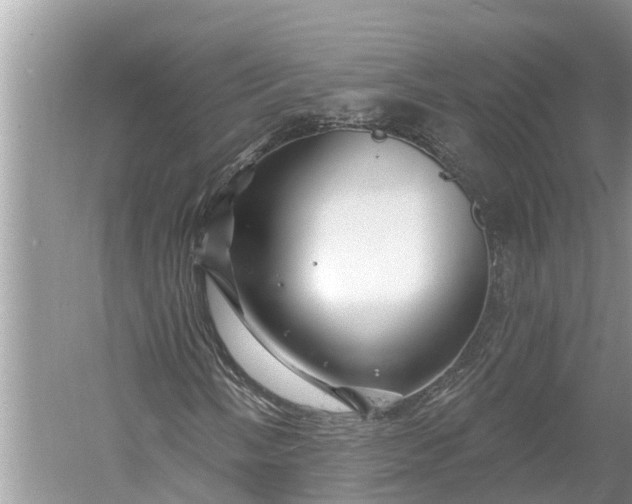 X0000060581058200511171652