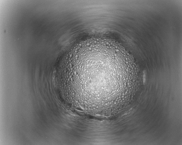 X0000060581059200511171651