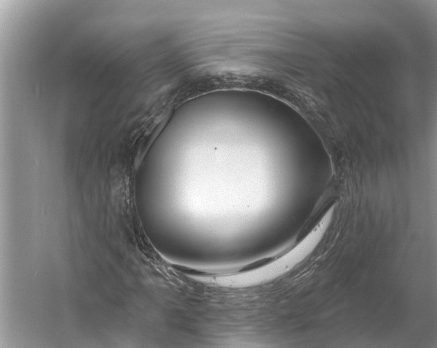 X0000060581061200511171651