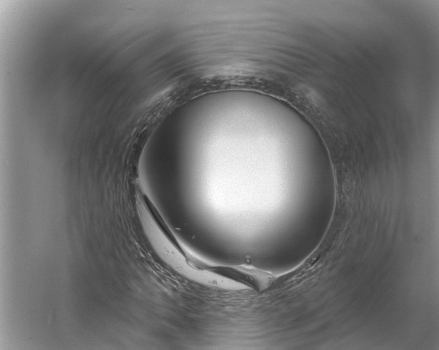 X0000060581062200511171651