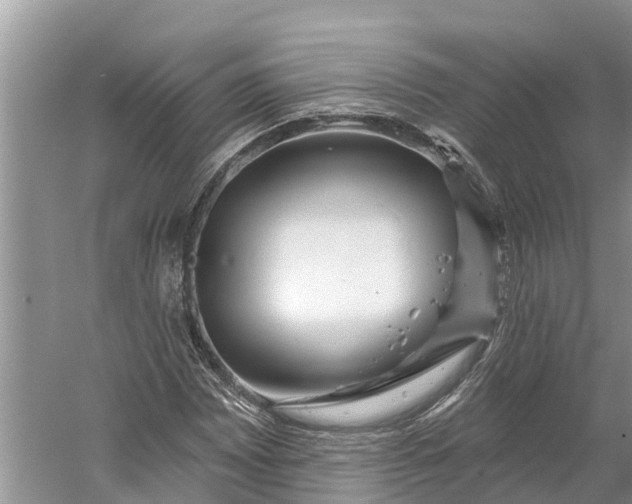 X0000060581065200511171651