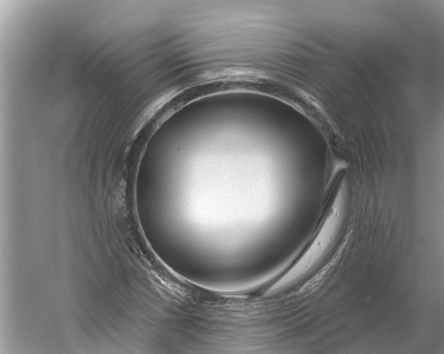 X0000060581066200511171651