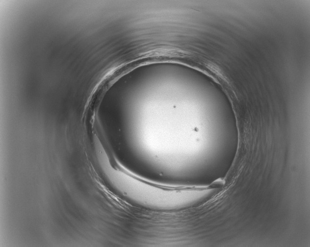 X0000060581067200511171651