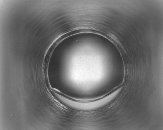 X0000060581068200511171651