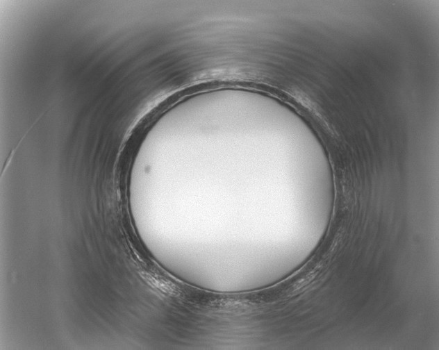 X0000060581070200511171651