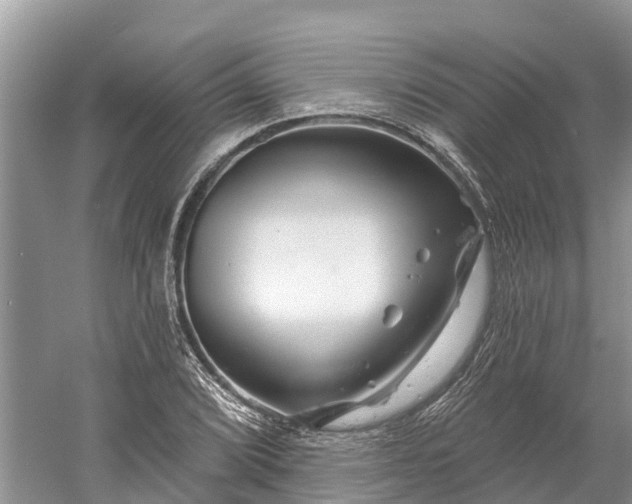 X0000060581072200511171651