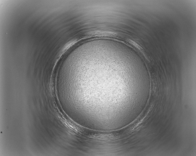 X0000060581074200511171651