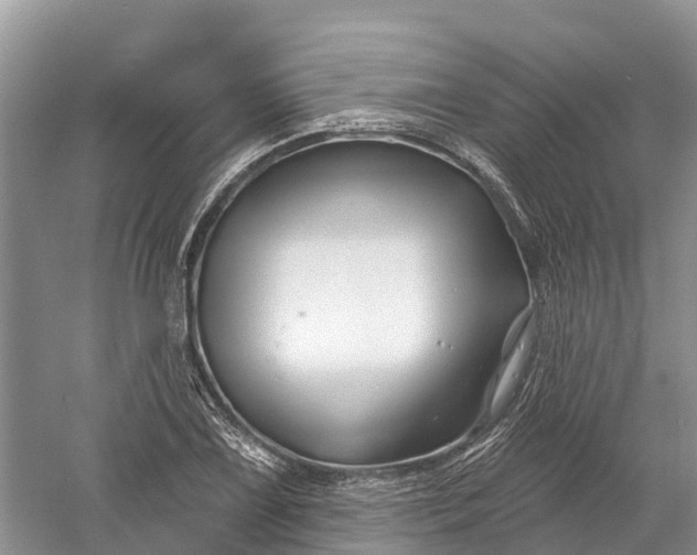 X0000060581075200511171651