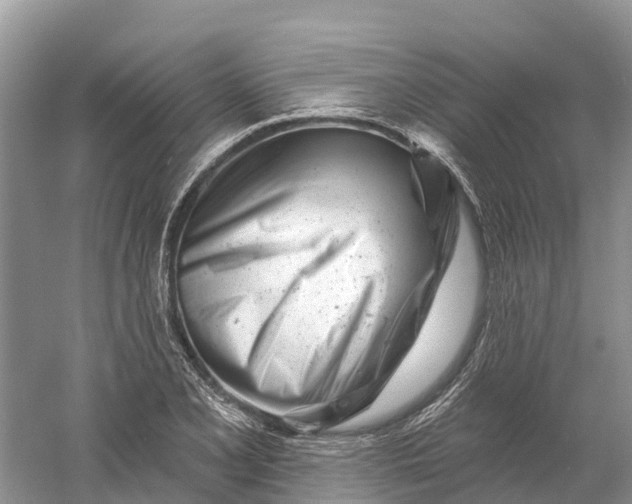 X0000060581077200511171651