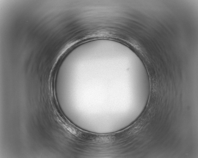 X0000060581078200511171651