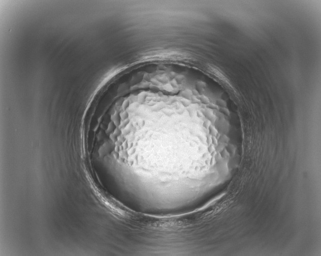 X0000060581079200511171651