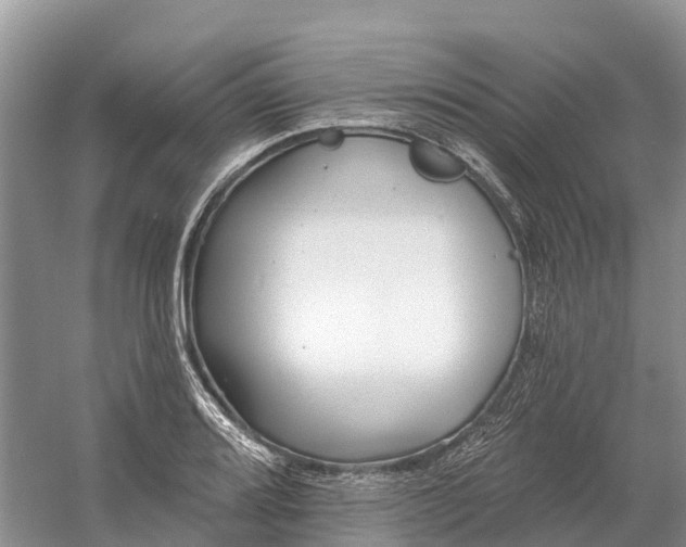 X0000060581080200511171651