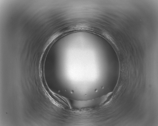 X0000060581082200511171651