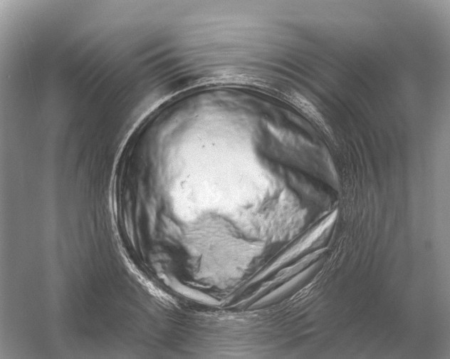 X0000060581084200511171651