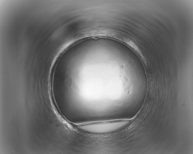 X0000060581088200511171651